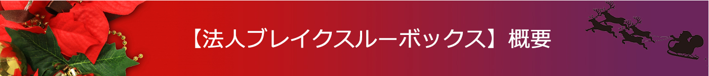 法人ブレイクスルーBOX2016概要